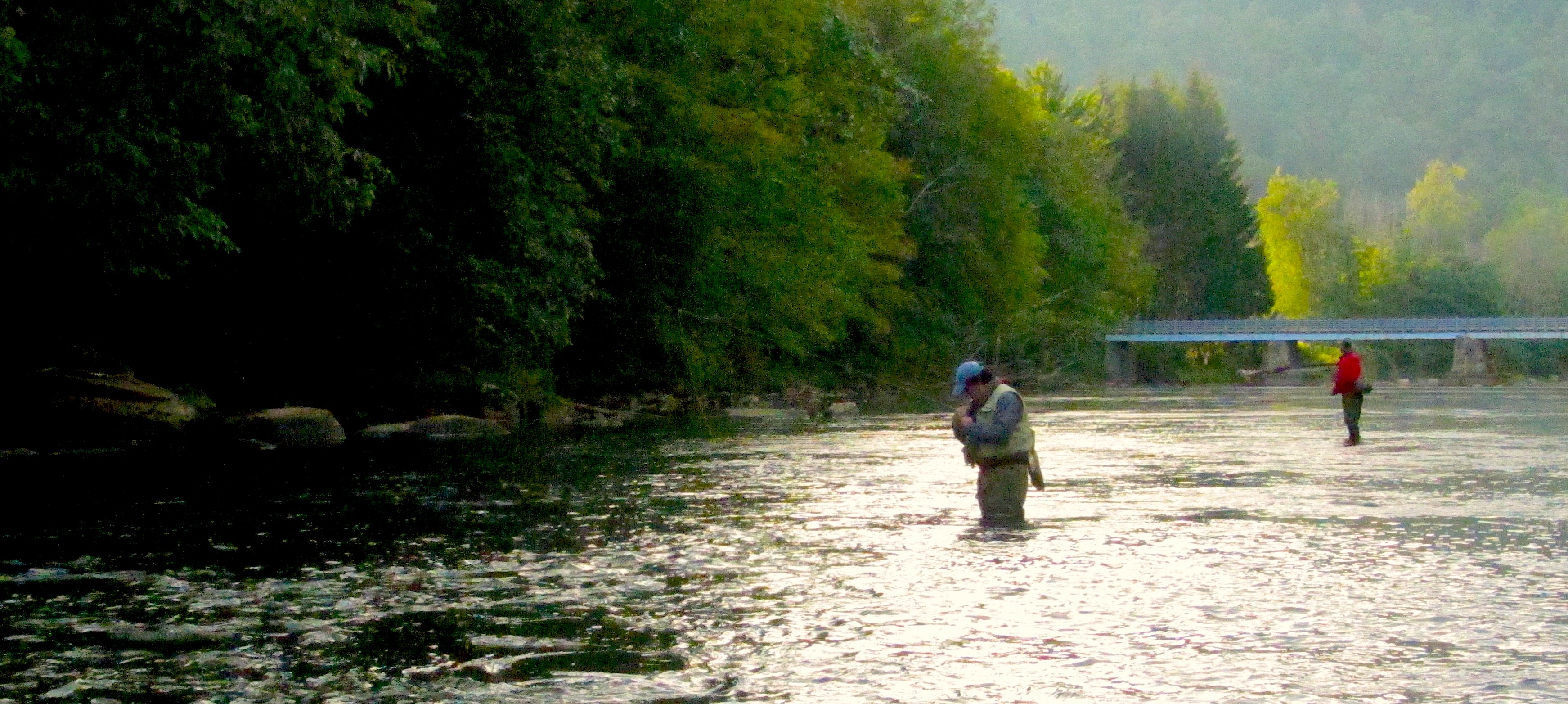 Photo by Julia Rodricks